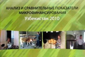 Представлен отчет  по микрофинансированию  за 2010 год