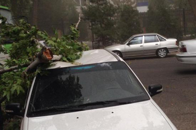 Автомобили пострадали из-за ветра в Ташкенте