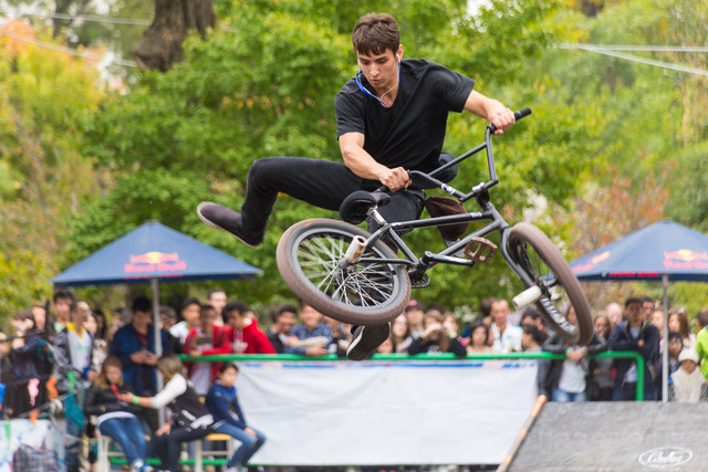 Foto, video: XV «Tashkent Urbaniya» festivali