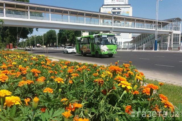 Хоким Ташкента не одобрил инициативы врио главы «Тошшахартрансхизмат»