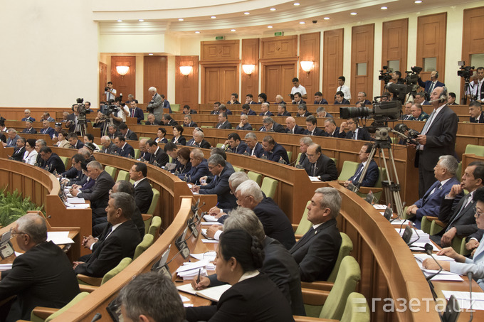 Сенат принял закон о бизнес-омбудсмане