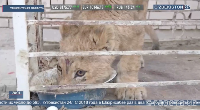 Частный секс дома: смотреть русское порно видео бесплатно