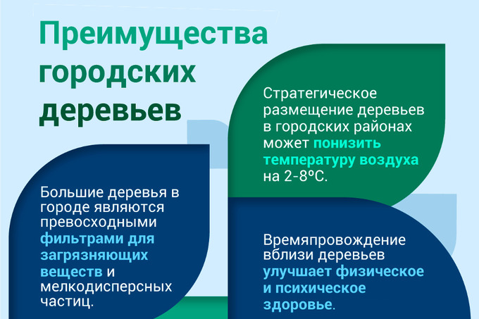 Инфографика: Преимущества городских деревьев