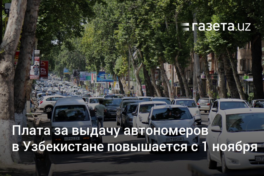 Плата завыдачу автономеров вУзбекистане повышается с1ноября  Новости Узбекистана  Газета.uz