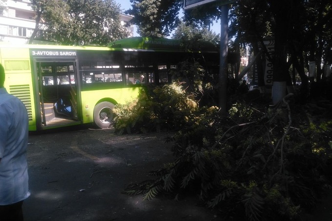 «Toshshahartransxizmat» avtobus ishtirokida yuz bergan YTH bo‘yicha bayonot berdi