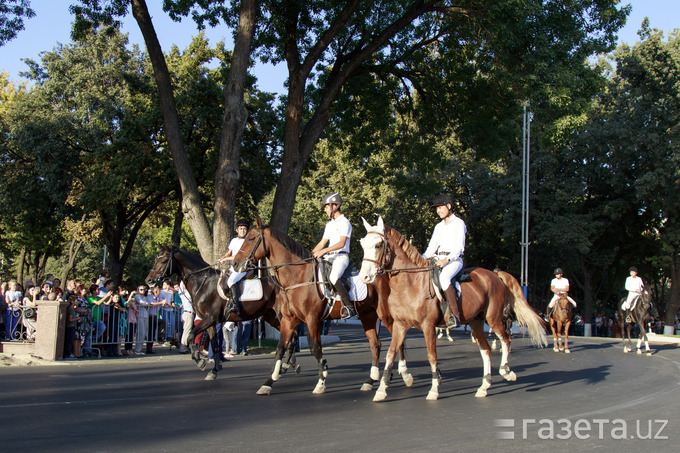 Foto, video: Toshkentda otlar paradi