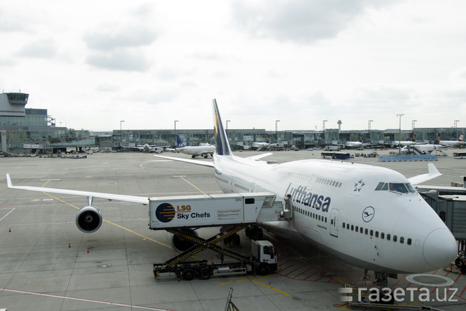 Lufthansa O‘zbekistonga aviaqatnovlarni qayta tiklashga qiziqmoqda