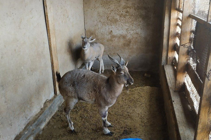 Экологи обнаружили краснокнижных животных в частных руках