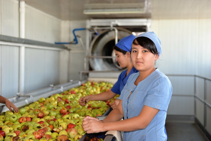 «Прогнозы по экспорту сельхозпродукции из стран ЦА неутешительны» — эксперт ВБ