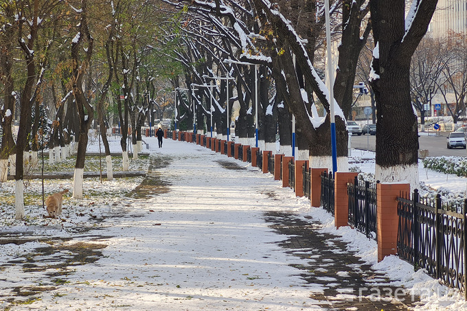 Какая погода ожидается в Узбекистане в декабре