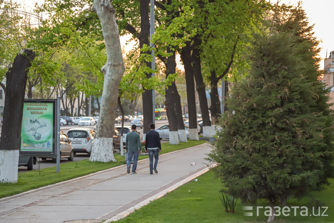 Hafta davomida quruq va salqin havo kuzatiladi