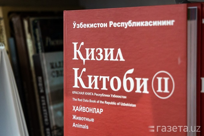 Зачем нужна электронная книга