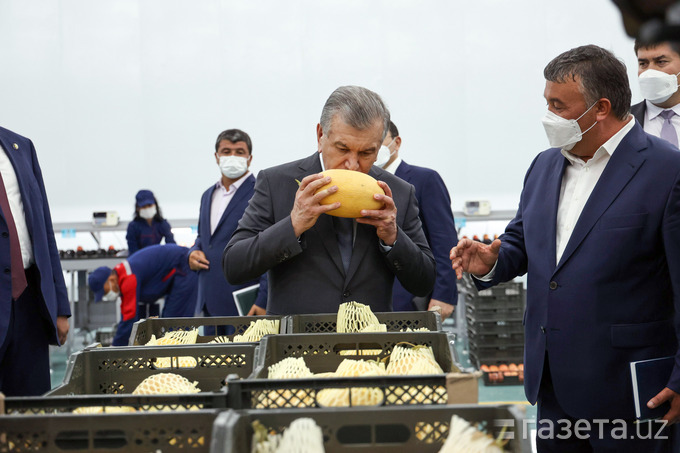 Shavkat Mirziyoyev Sheroboddagi zamonaviy issiqxonani borib ko‘rdi