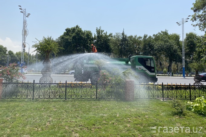 «В Ташкенте стало много ёлок и газонов, требующих обильного полива» — президент