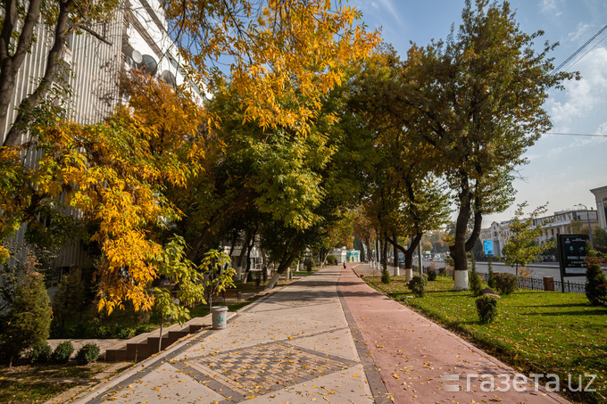 Dam olish kunlari salqin ob-havo bo‘ladi