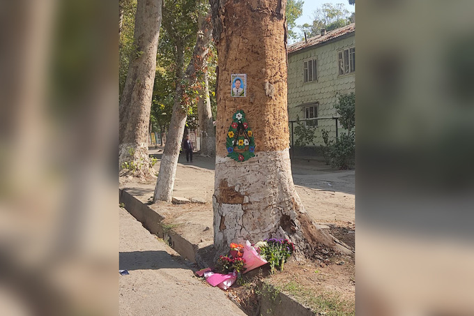 Фотография Артёма Игумнова на дереве рядом с местом ДТП.