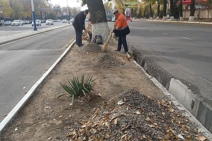 За деревьями, корни которых были покрыты плёнкой, начали ухаживать