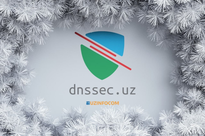 С технологией DNSSEC можно встретить Новый год, не беспокоясь о веб-сайте