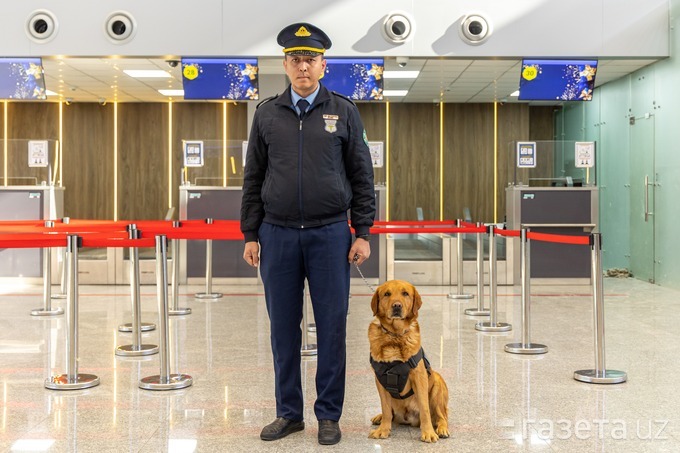 «Oyligimiz odamlarnikidan kamroq, lekin yashashga yetadi». Toshkent aeroportidagi xizmat itining bir kuni