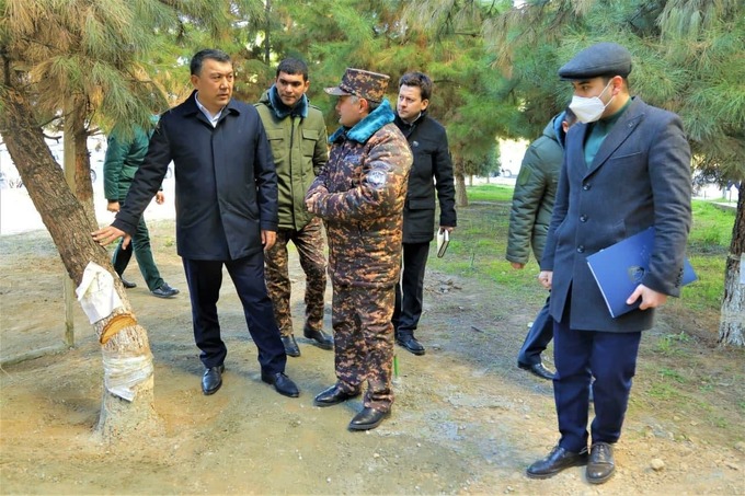 Yunusoboddagi daraxtlarni Ekopatrul va Milliy gvardiya xodimlari 24 soat qo‘riqlaydi