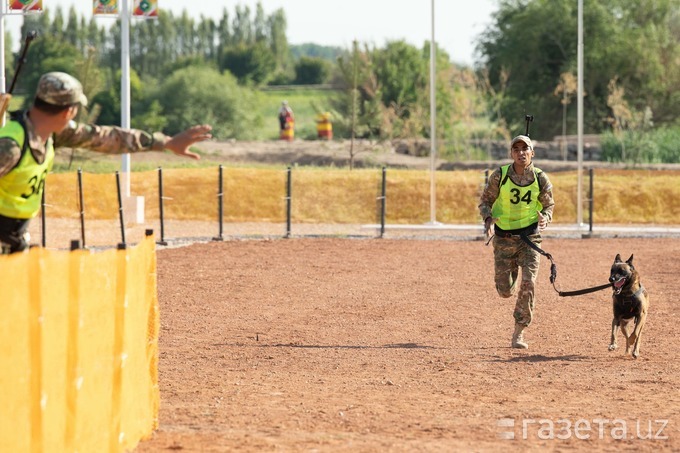 Foto: Chirchiqda o‘tgan «Dog biatlon» finali