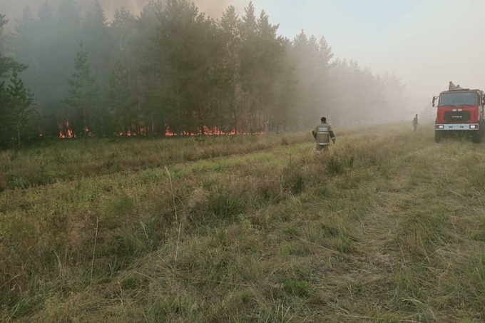 Qozog‘istonning Kostanay viloyatida o‘rmon yong‘inlari sodir bo‘lmoqda