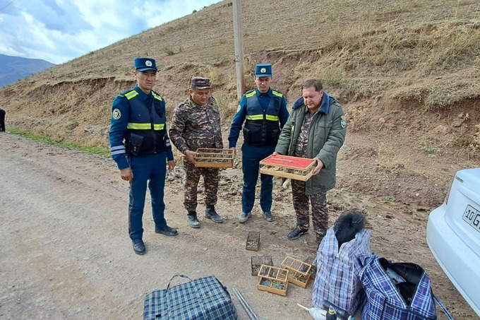 Angrenda 60 dona sa’vani to‘r yordamida noqonuniy ovlagan 8 kishi jarimaga tortildi