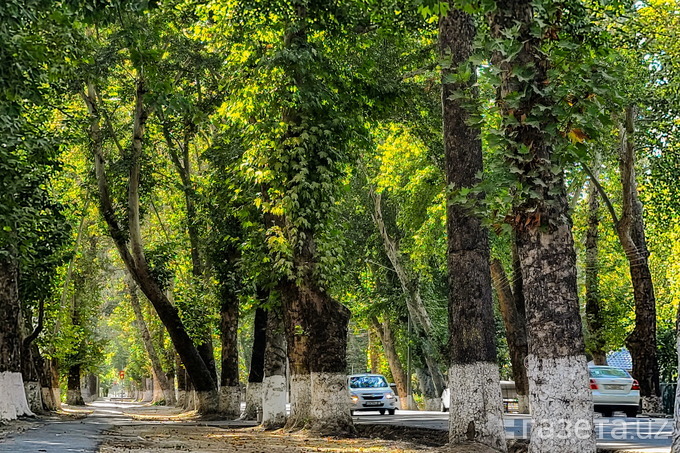 O‘zbekistonning ekologik barqaror shaharlari reytingi tuzildi