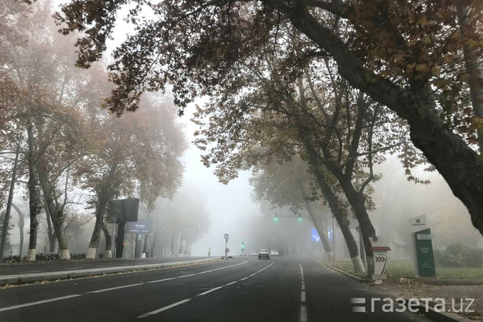 Toshkentni qalin tuman qopladi (foto)