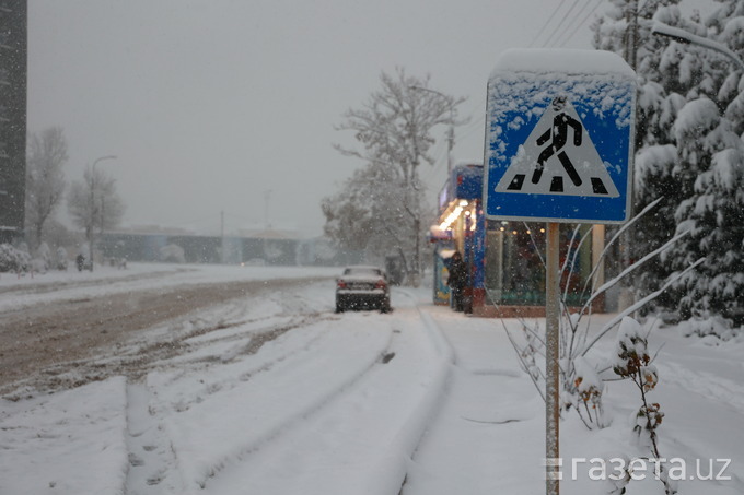 На севере Узбекистана по ночам будет до −20…−25 градусов