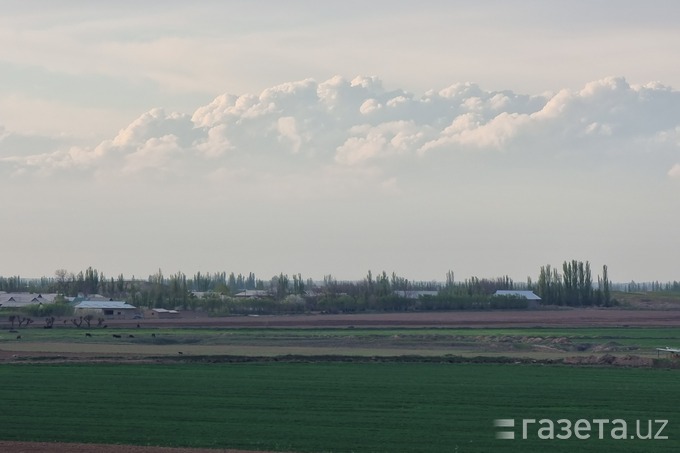 Дам олиш кунлари ҳарорат пасаяди