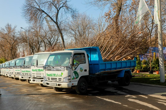 Toshkentda «Yashil makon» loyihasining bahorgi mavsumida 625 ming dona daraxt va buta ekiladi