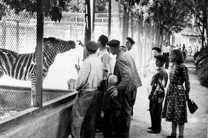 Toshkent hayvonot bog‘ining 100 yilligi munosabati bilan fotoko‘rgazma tashkil etiladi