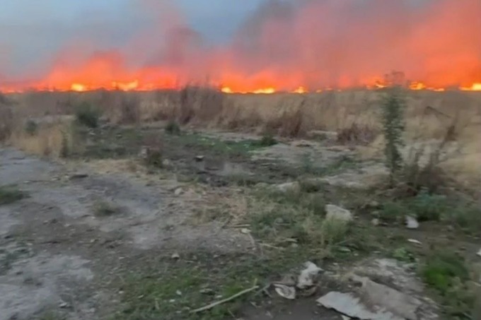 Кадр видео / t.me/Tashkent_land