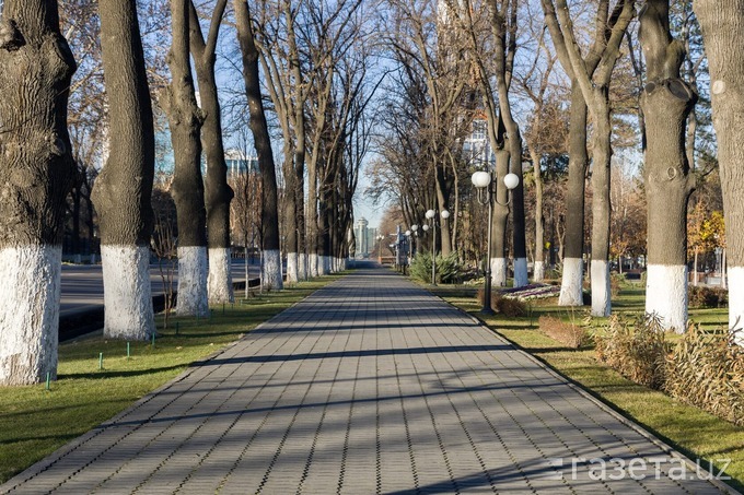 Холода отступят на неделе