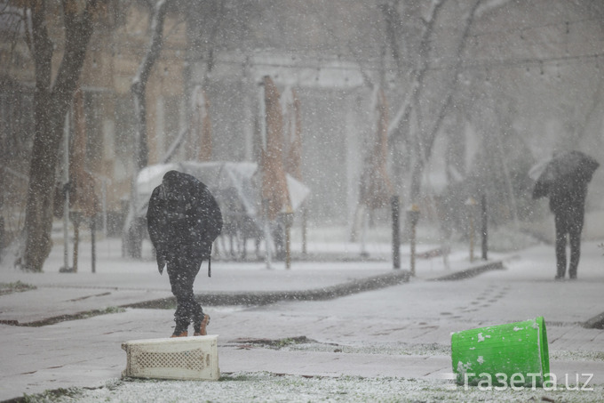 Qishning birinchi jiddiy sovug‘i: Nimalar qilmoq kerak?