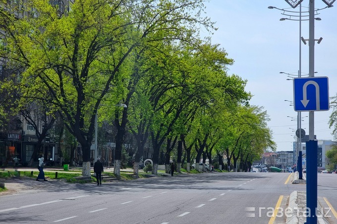 12-iyul kuni e’lon qilingan eng muhim yangiliklar dayjesti