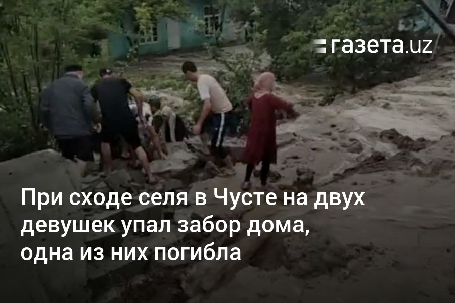 Стали известны обстоятельства ранения двух женщин в Новой Таволжанке. Происшествия Белгорода