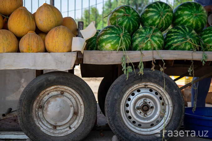 Qovun va tarvuz tanlashda nimalarga e’tibor berish kerak?