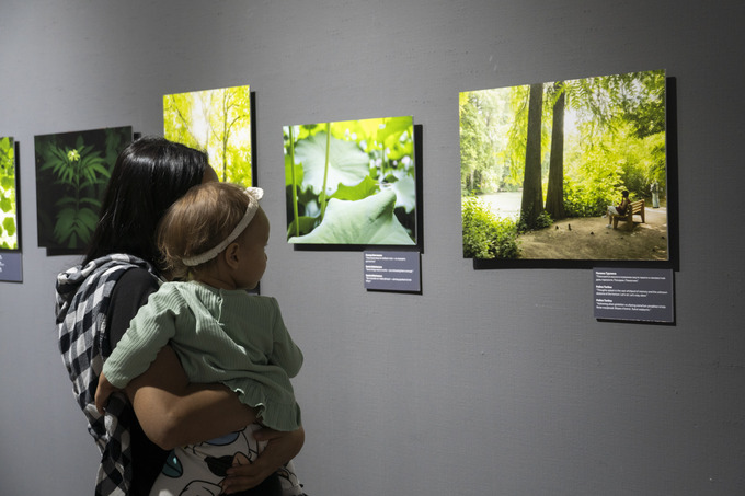 Природа глазами подростков. В Ташкенте проходит итоговая выставка программы Wildlife Photographer of the Year Academy