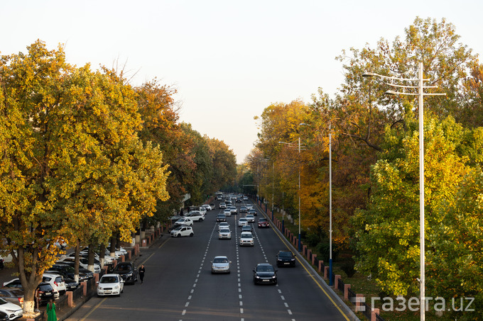 O‘zbekistonda 4−10-noyabr kunlari ob-havo qanday bo‘ladi? “Gazeta.uz” sharhi