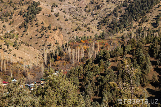 Lashkarek qishlog‘i